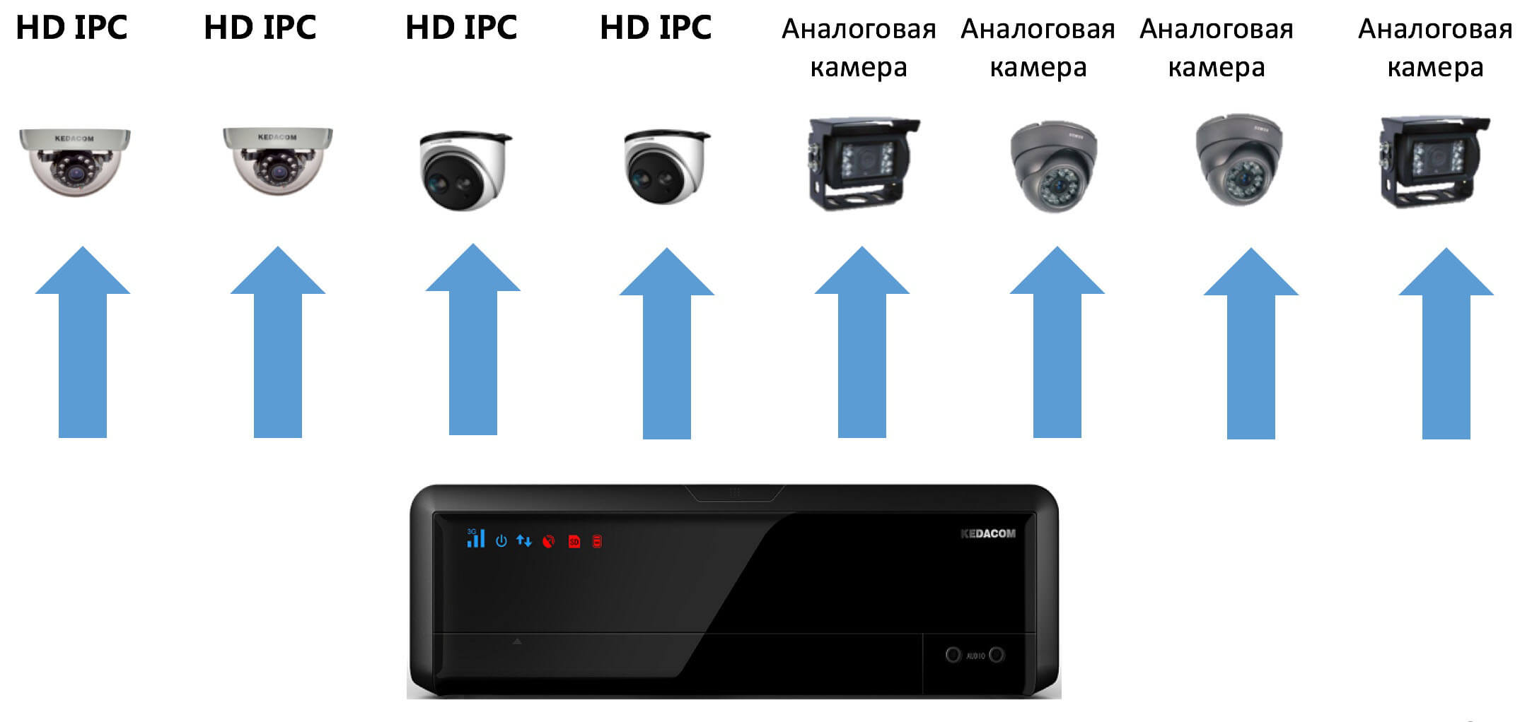Транспортная безопасность Транспортная безопасность