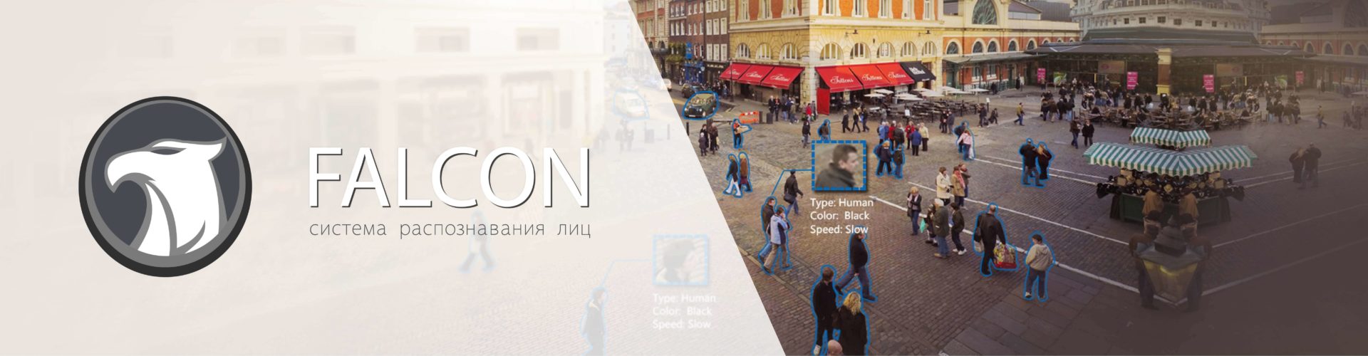Система распознавания лиц Falcon