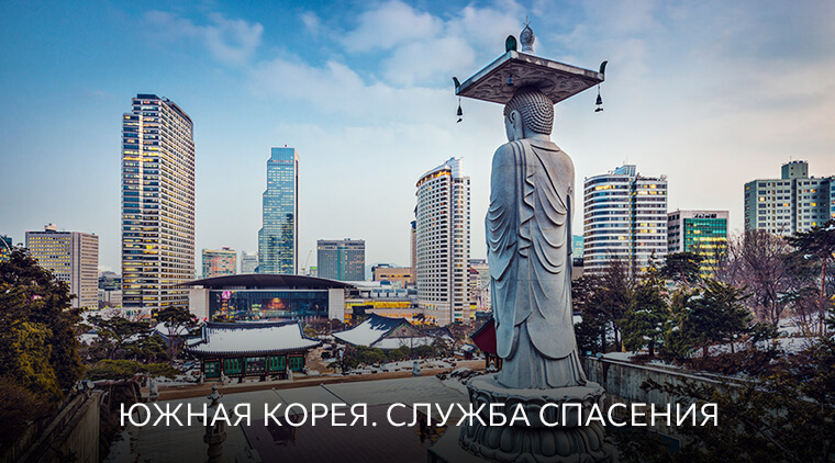 Реализованные проекты